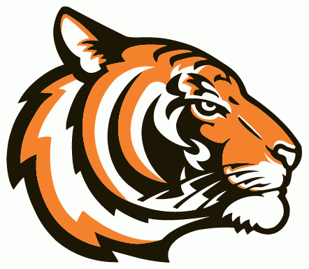 Princeton Tigers 2003-Pres Alternate Logo v2 diy iron on heat transfer